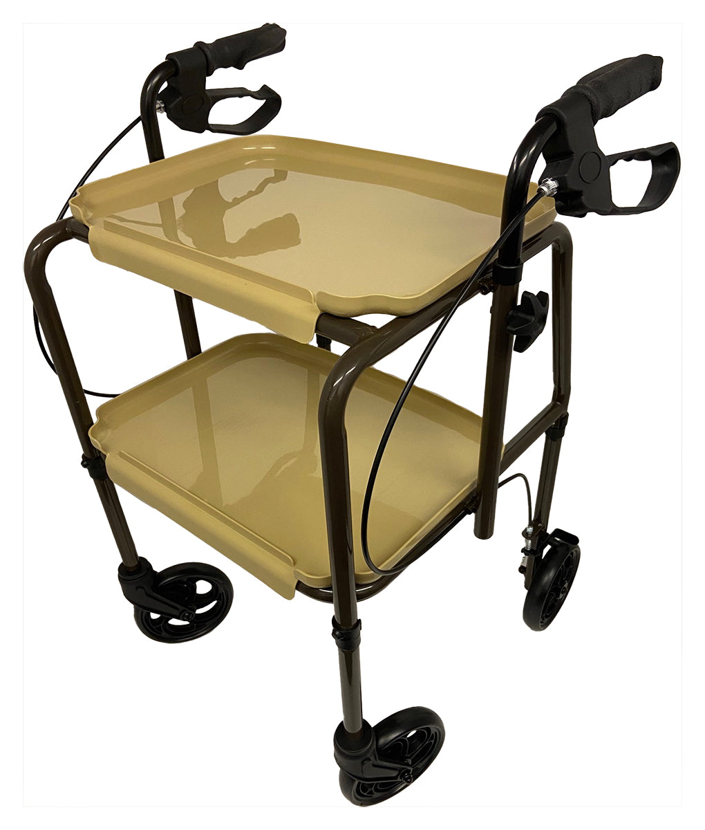 Indoor Trolley with Brakes